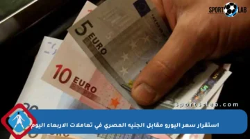 استقرار سعر اليورو مقابل الجنيه المصري في تعاملات الأربعاء اليوم